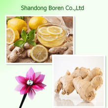 Fournir le meilleur gingembre de qualité de Shandong